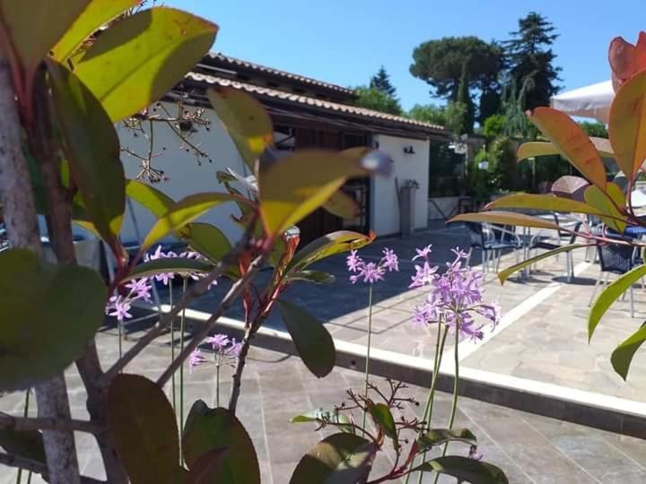 Borgo Nicoletta Case Per Le Vacanze Filandari المظهر الخارجي الصورة